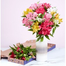 Spring Alstroemeria Letterbox With Luxury Chocolate Bar